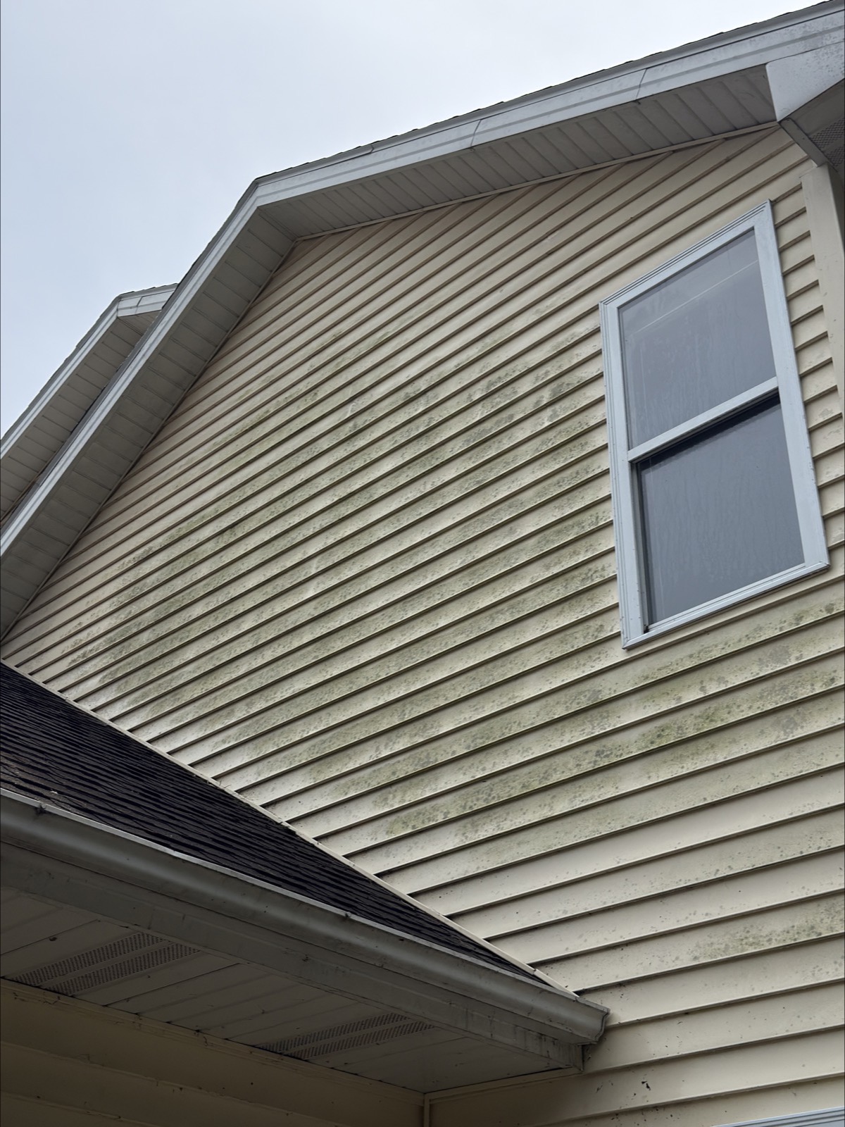 Before — dirty, algae-streaked siding