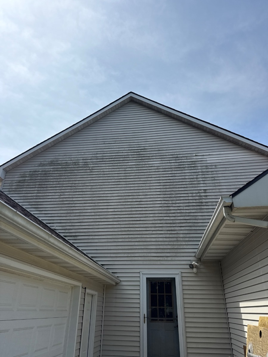 Before — algae-streaked siding